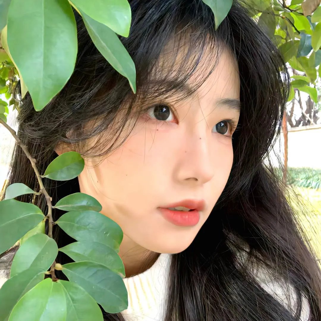 单身骑士